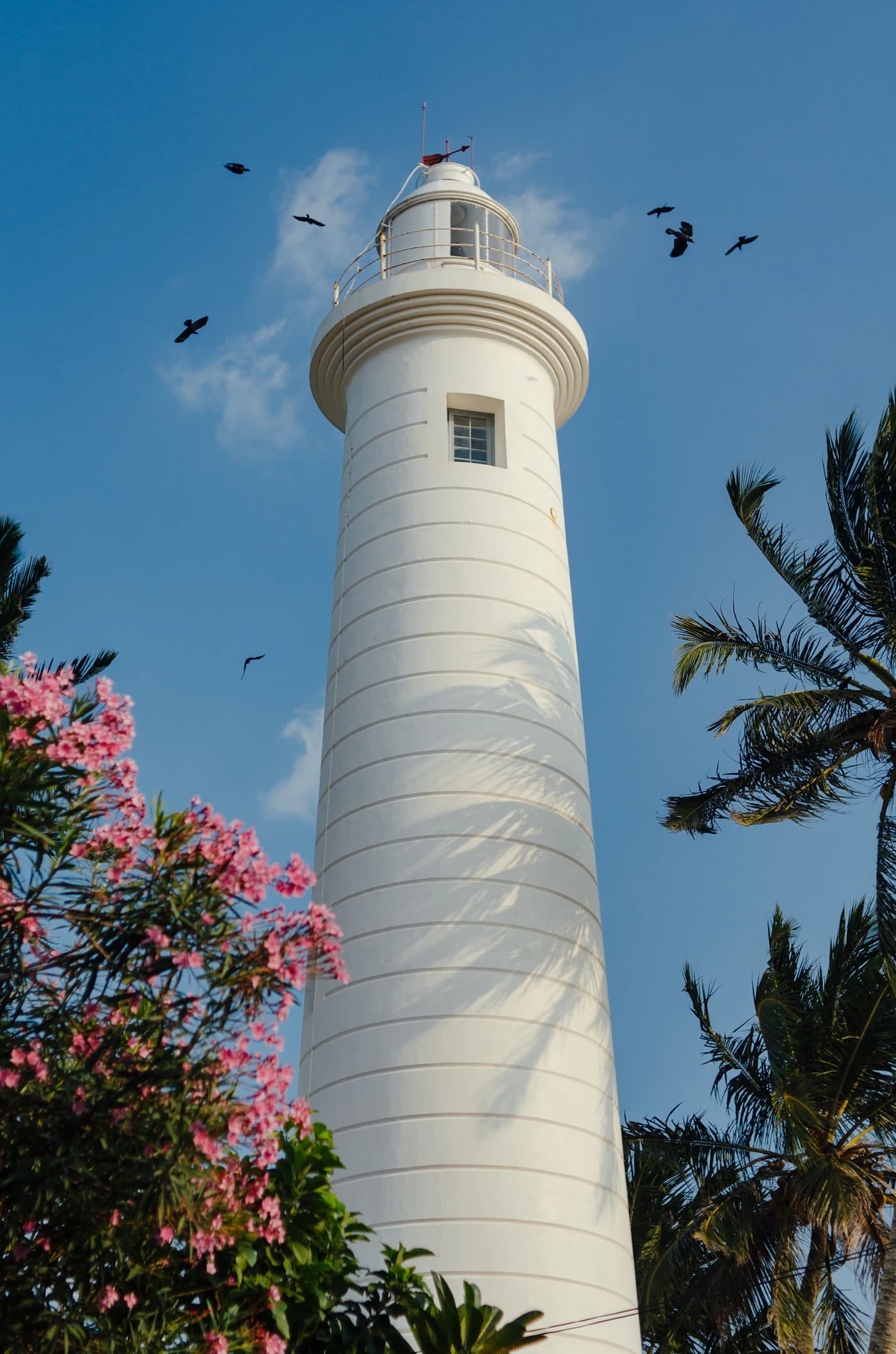 Galle Fort lighthouse framed by palm trees and flowers