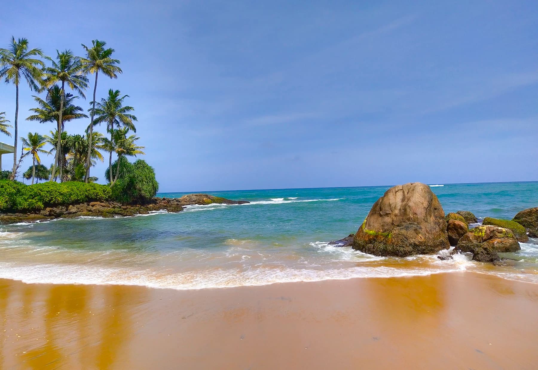 Tropical coastline with palm trees on a Sri Lankan beach