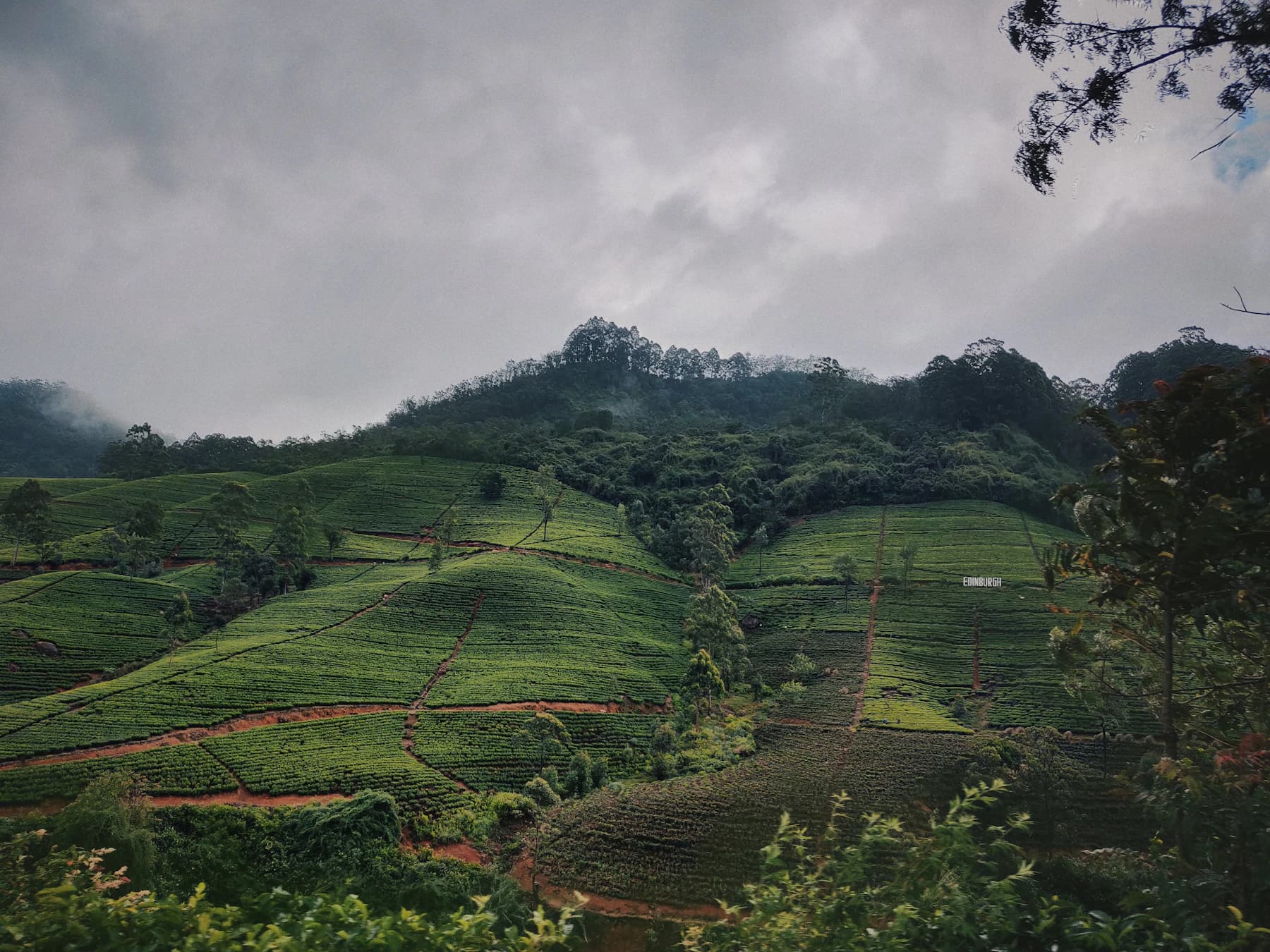 Sri Lanka's hill country tea plantations
